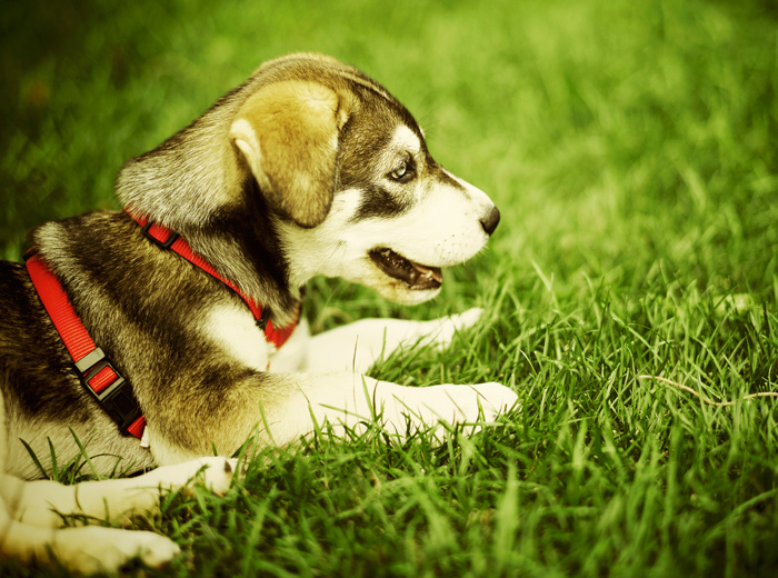 特惠促销的ddos服务器攻击手段