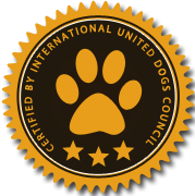 免费cc攻击测试